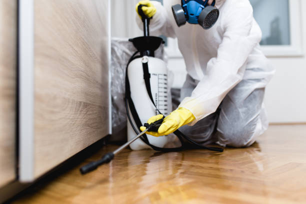 Best Pest Control for Businesses  in Fort Madison, IA