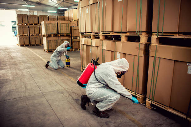 Best Pest Prevention Services  in Fort Madison, IA