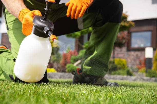 Best Rodent Control Near Me  in Fort Madison, IA