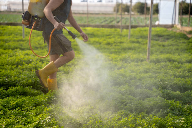 Best Commercial Pest Control Services  in Fort Madison, IA
