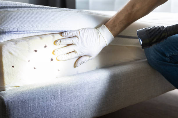 Best Pest Removal Services  in Fort Madison, IA