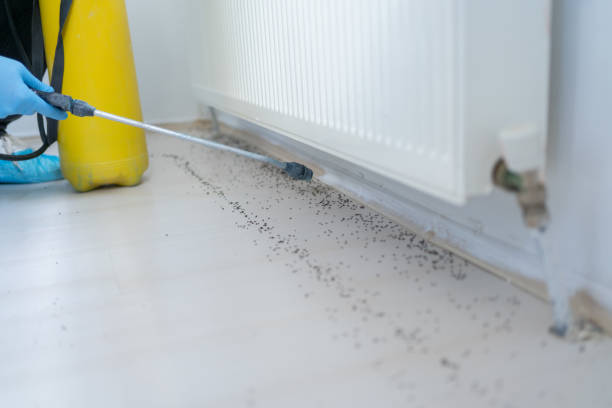 Best Affordable Pest Control Services  in Fort Madison, IA