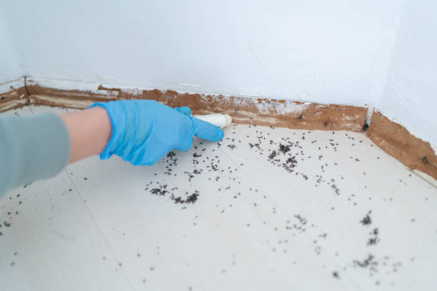 Wildlife Control Services in Fort Madison, IA