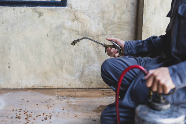 Professional Pest Control in Fort Madison, IA